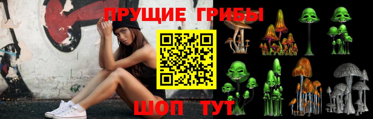 Галлюциногенные грибы Psilocybine cubensis  Вход с VPN  сколько стоит  Кинель 